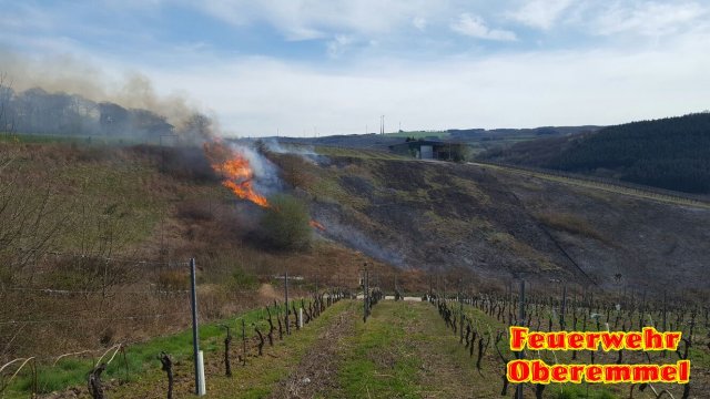Flaechenbrand_Wiltingen_31_03_17 (8)